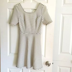 Macy's Striped Dress